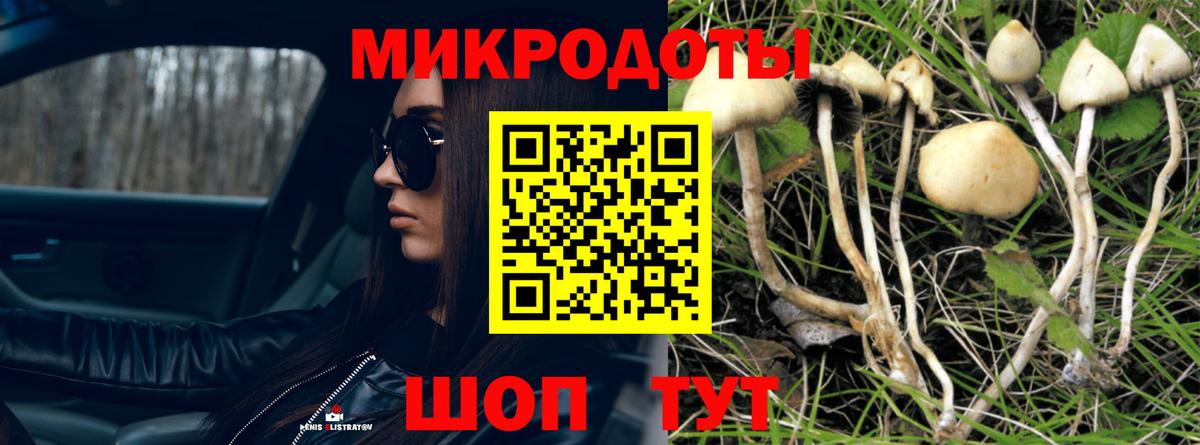 Дмитров  Галлюциногенные грибы мицелий  купить   Вход с VPN 